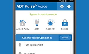 check home and security status with voice check home and security status with voice
