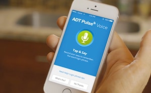 Login to security system with voice Login to security system with voice