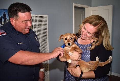 Capt. Dan Lecon of Anaheim Fire & Rescue, part of the truck company that responded to the house fire, greets Fiona, who was rescued in a fire, as she is held by her owner Amber Cooper of Anaheim.