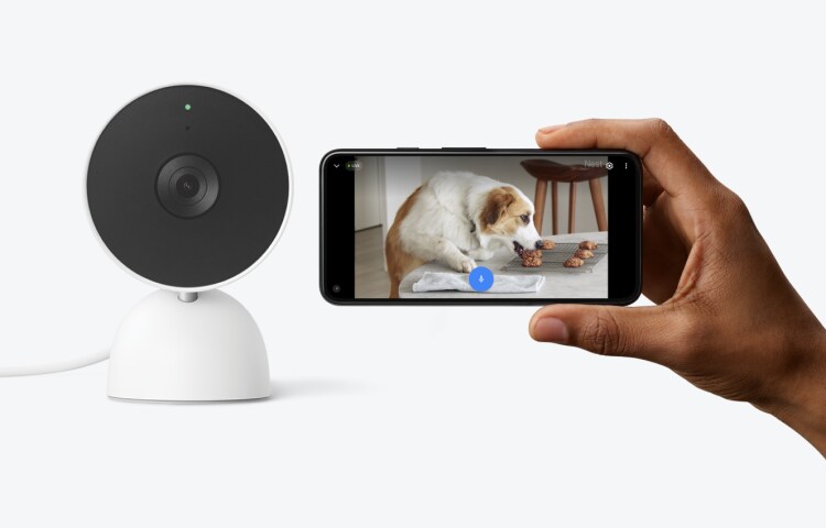 Google Nest Indoor Camera next to a cellphone with live surveillance footage Google Nest Indoor Camera next to a cellphone with live surveillance footage