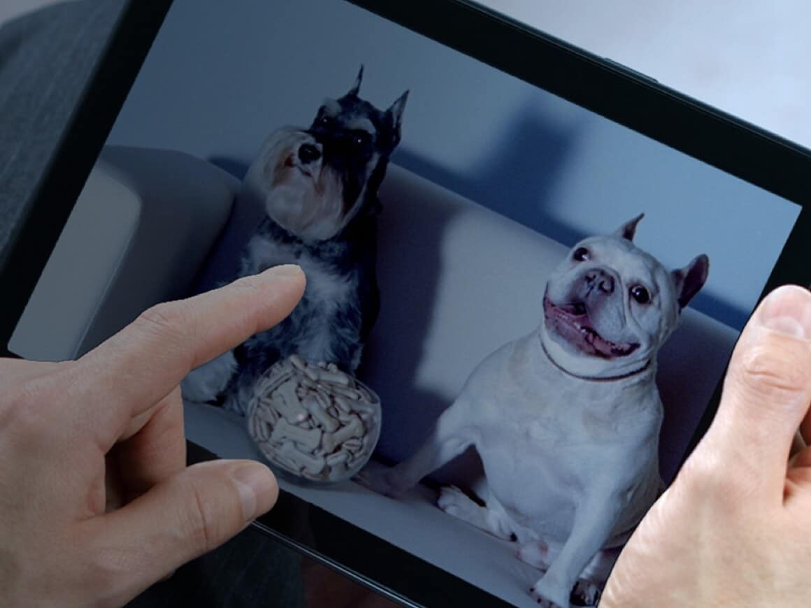 Tablet with picture of two dogs