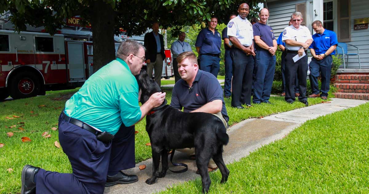 How ADT Pet Monitoring Saved My Dog and House ADT Lifesaver Stories