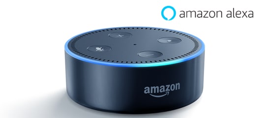 Make Alexa Your Personal Security Assistant