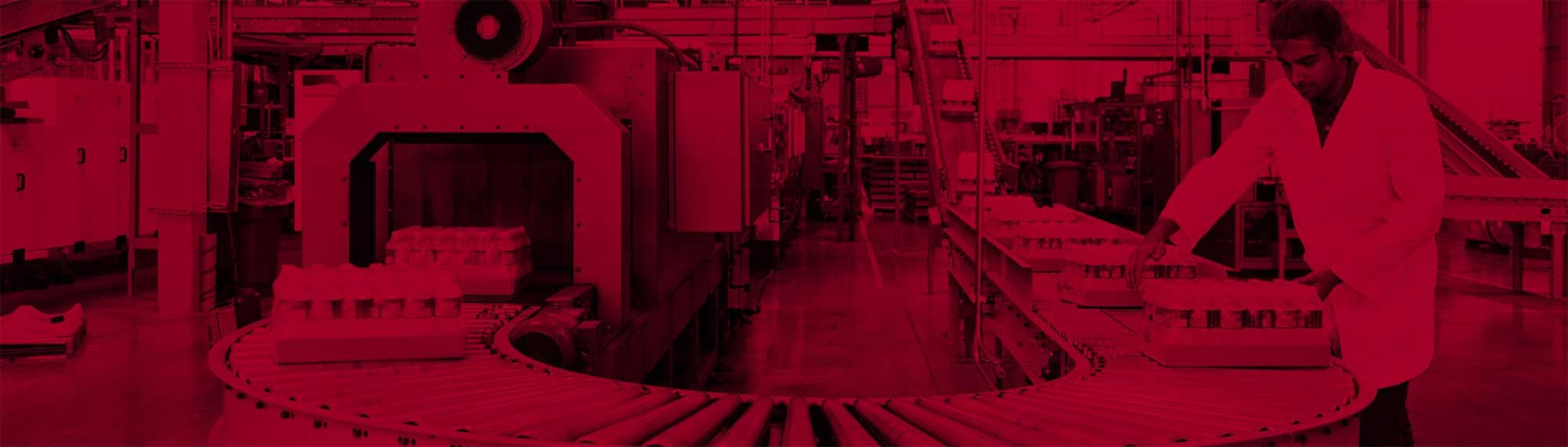 Worker at food processing plant