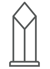 SSI Award graphic