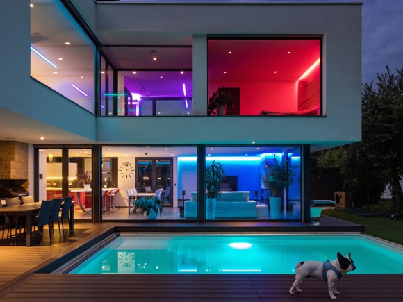 Exterior of house with colored lights and a French bulldog by the pool