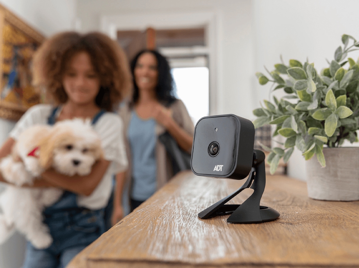Adt Indoor Home Security Cameras