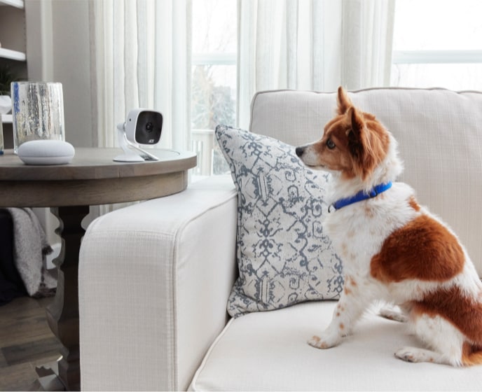 nest monitoring system