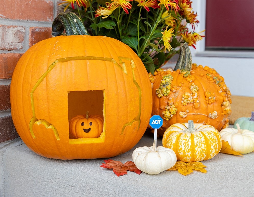 Feature Image