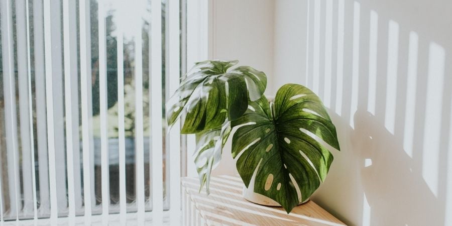 Sliding door with blinds