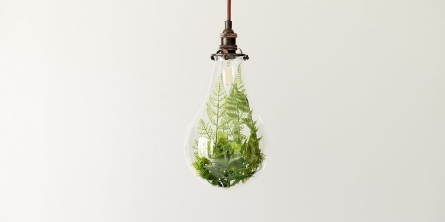 A green, energy efficient lightbulb with plants in it
