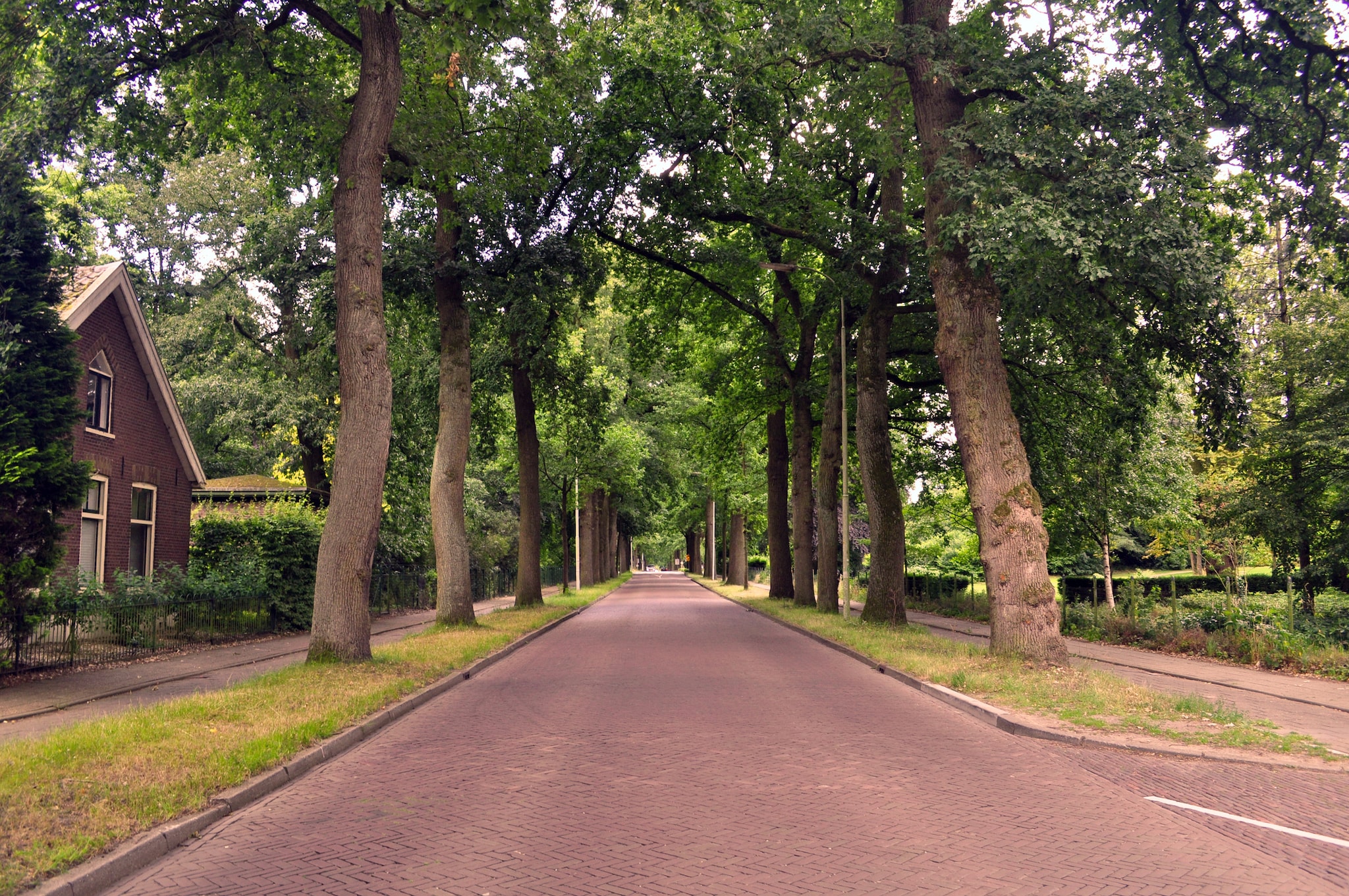 Millennials are Moving to the Suburbs- Should You? House in a suburban neighborhood with trees