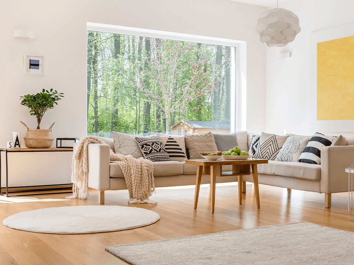 Image of a living room with couch, rugs, giant window and side table with plant