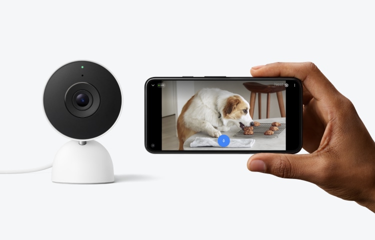 Google Nest Indoor Camera next to a cellphone with live surveillance footage 