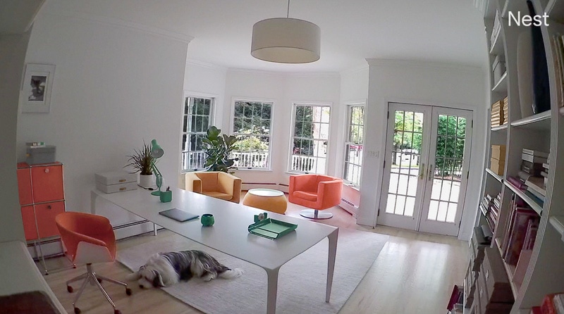 Wide-angle view from a Nest indoor camera showing a home office with large windows, colorful furniture, and a dog sleeping on the rug