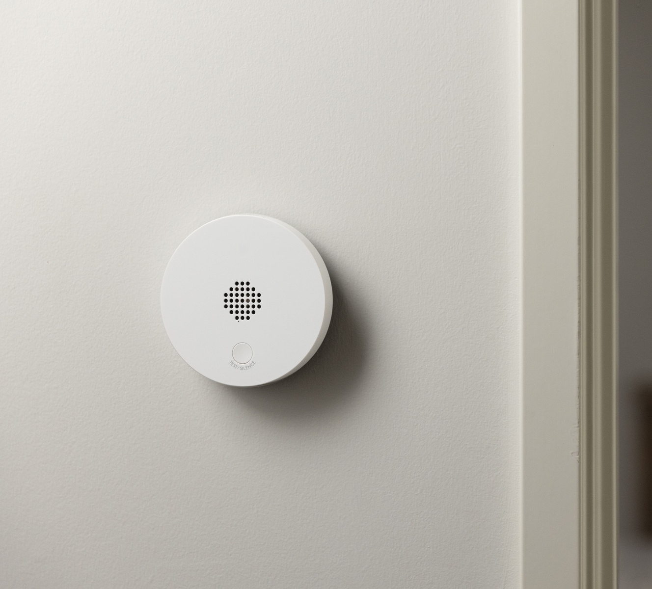 Smoke and Carbon Monoxide Detector installed on a ceiling in a home