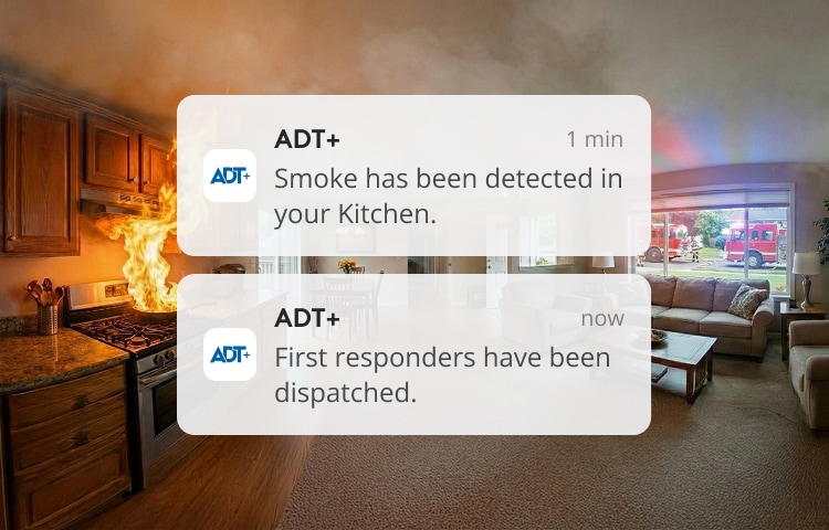 Crime Rate Maps from ADT