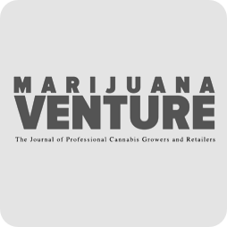Marijuana Venture