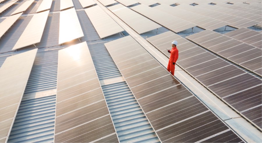 Technician surveying solar panel arrary