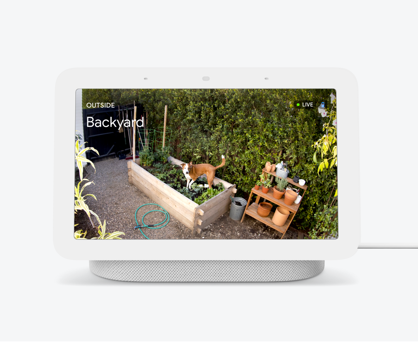 Outdoor Google Nest Cam footage shown on a laptop