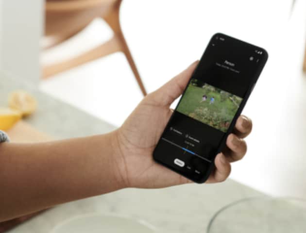 Alguien visualizando imágenes en vivo de su jardín trasero a través de la aplicación ADT+ Alguien visualizando imágenes en vivo de su jardín trasero a través de la aplicación ADT+