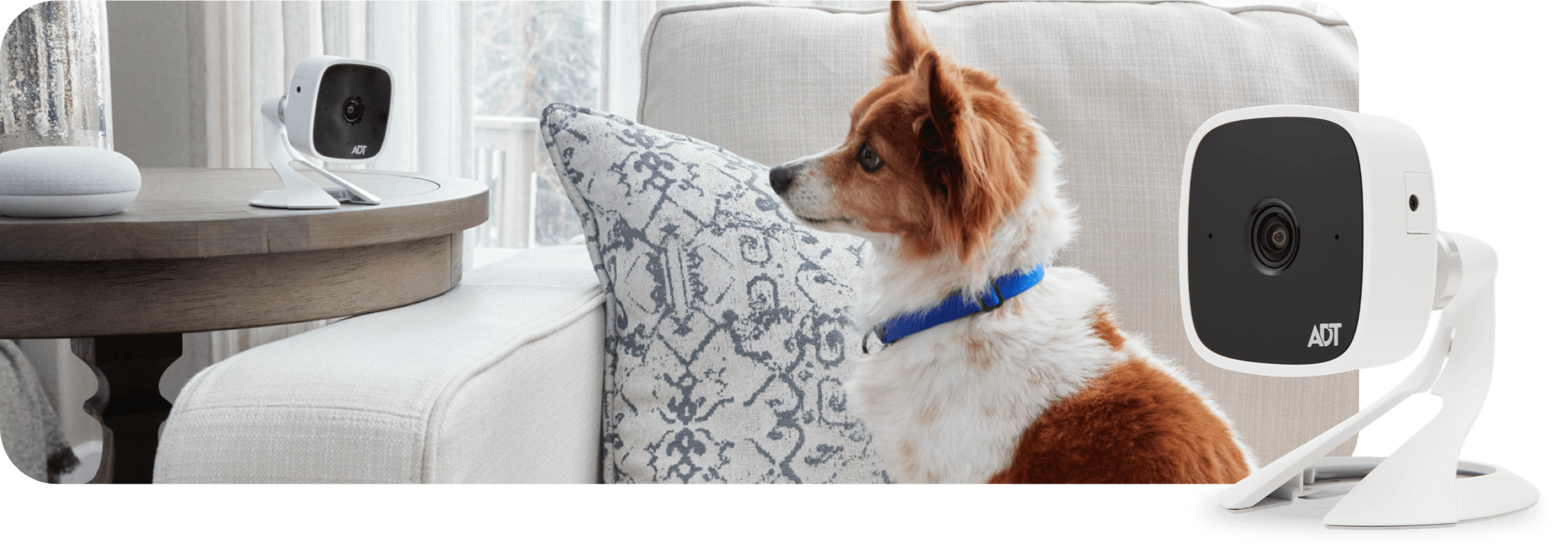 ADT® Security Alarm Systems for Home u0026 Business
