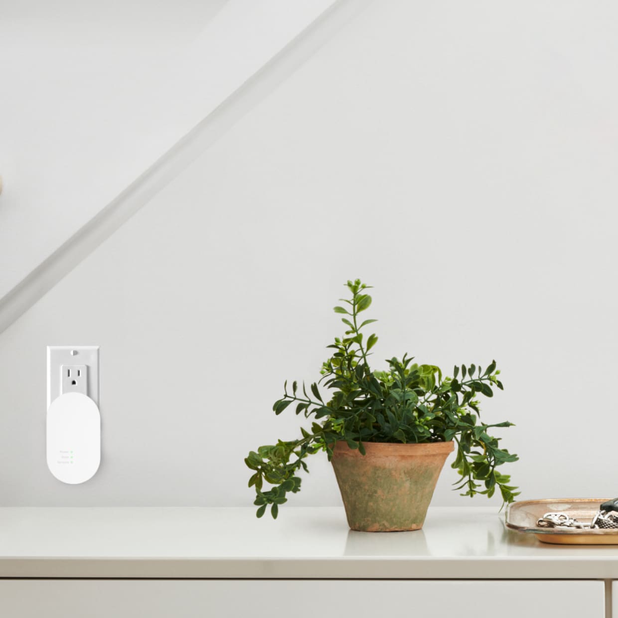 Alarm Range Extender plugged in next to a plant
