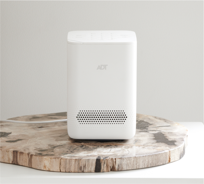Nest Indoor Camera Nest Indoor Camera