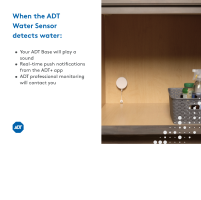 Water Leak Detection Package